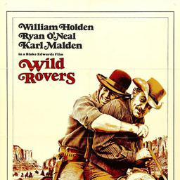Movies Most Similar to Wild Rovers (1971)